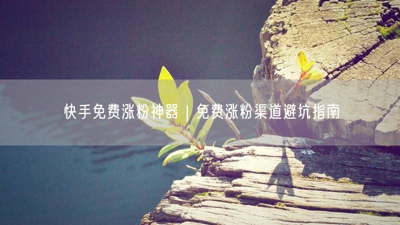 快手免费涨粉神器｜免费涨粉渠道避坑指南