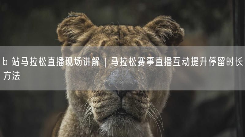 b 站马拉松直播现场讲解｜马拉松赛事直播互动提升停留时长方法
