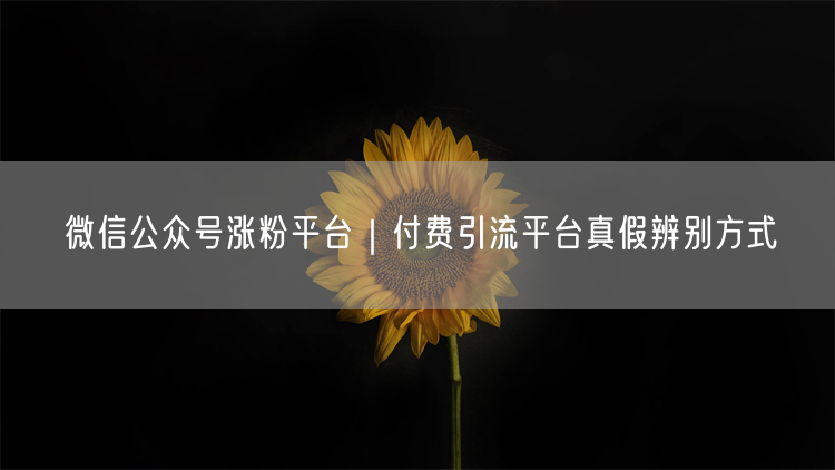 微信公众号涨粉平台｜付费引流平台真假辨别方式