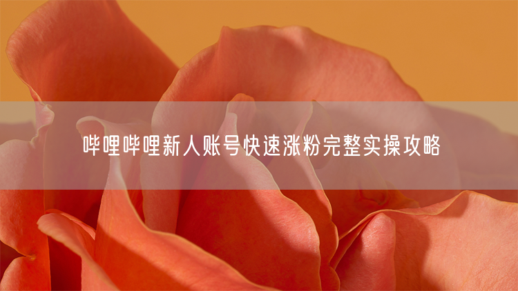 哔哩哔哩新人账号快速涨粉完整实操攻略
