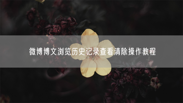 微博博文浏览历史记录查看清除操作教程