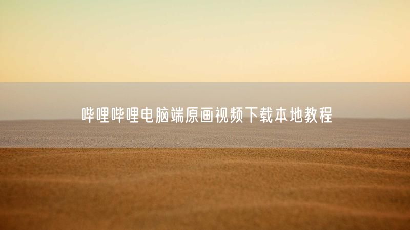 哔哩哔哩电脑端原画视频下载本地教程