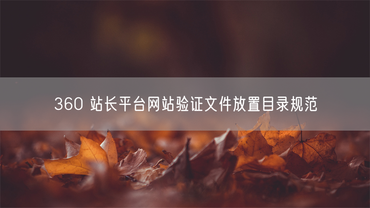 360 站长平台网站验证文件放置目录规范
