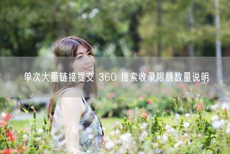 单次大量链接提交 360 搜索收录限额数量说明