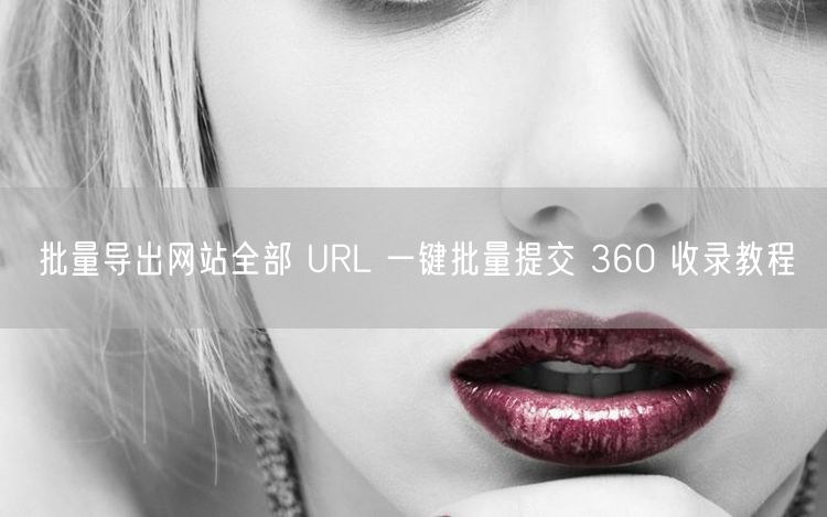 批量导出网站全部 URL 一键批量提交 360 收录教程