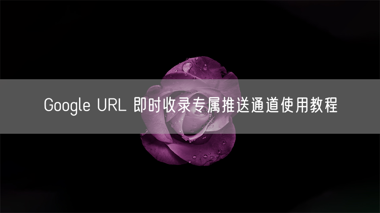 Google URL 即时收录专属推送通道使用教程