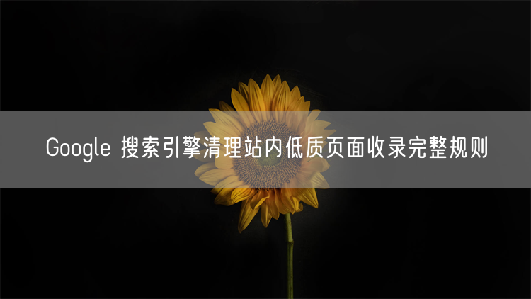 Google 搜索引擎清理站内低质页面收录完整规则
