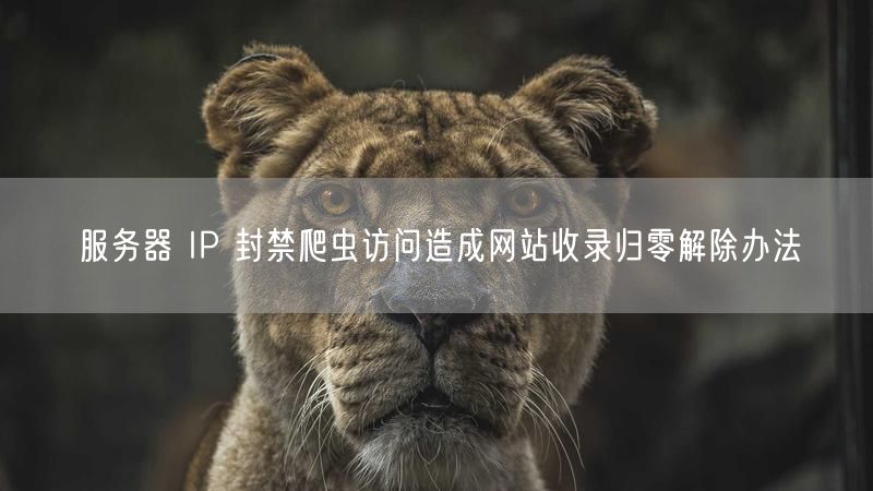 服务器 IP 封禁爬虫访问造成网站收录归零解除办法