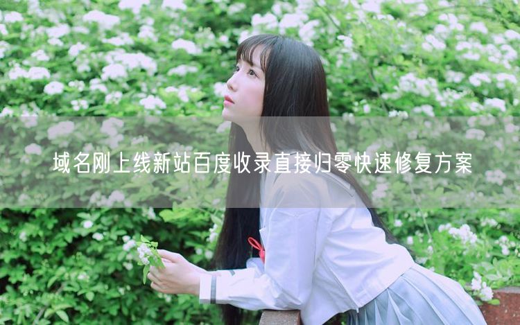 域名刚上线新站百度收录直接归零快速修复方案