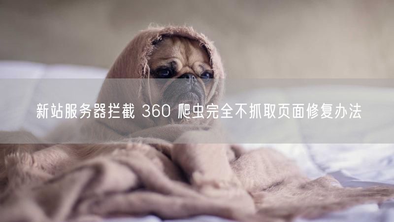 新站服务器拦截 360 爬虫完全不抓取页面修复办法