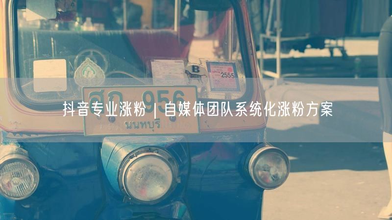 抖音专业涨粉｜自媒体团队系统化涨粉方案