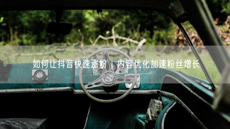 如何让抖音快速涨粉｜内容优化加速粉丝增长