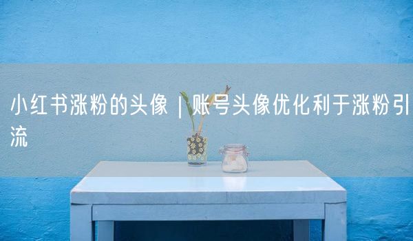 小红书涨粉的头像｜账号头像优化利于涨粉引流