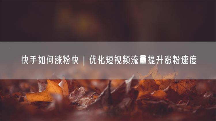 快手如何涨粉快｜优化短视频流量提升涨粉速度