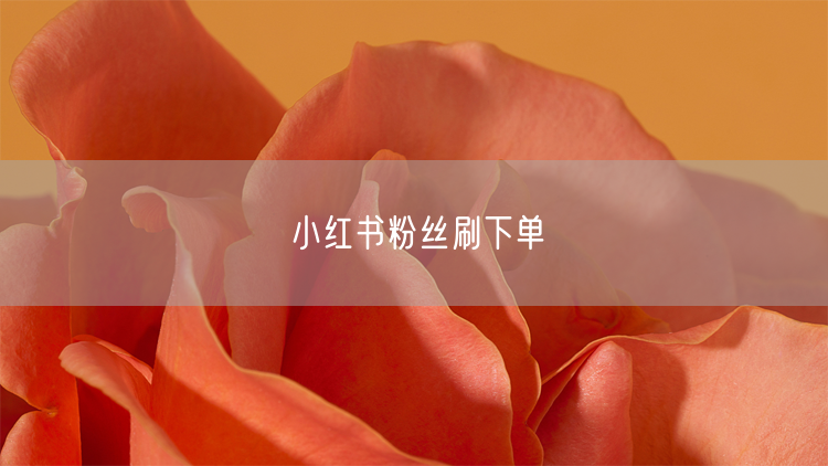 小红书粉丝刷下单