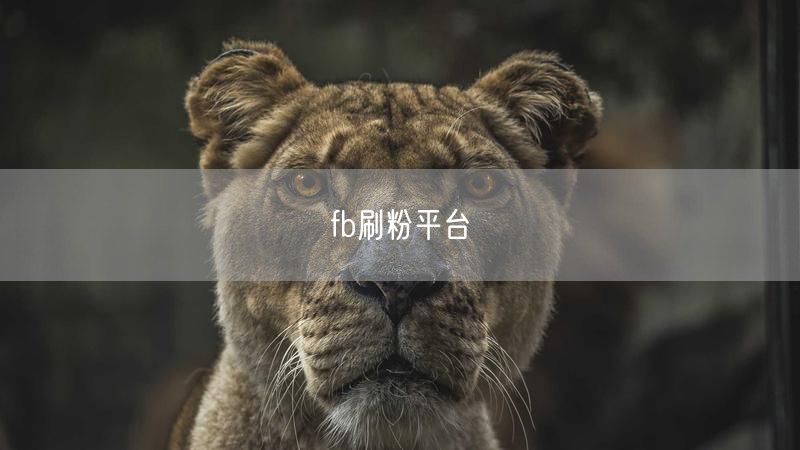 fb刷粉平台