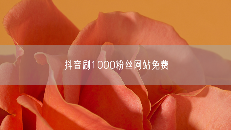 抖音刷1000粉丝网站免费