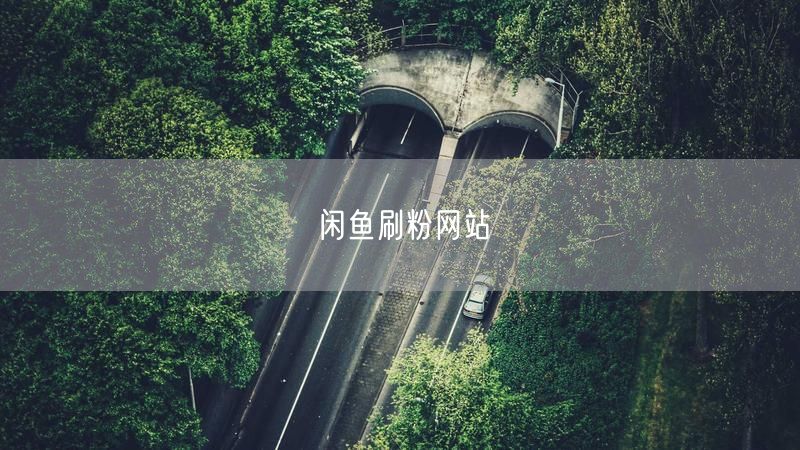 闲鱼刷粉网站