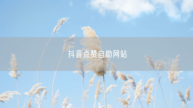 抖音点赞自助网站