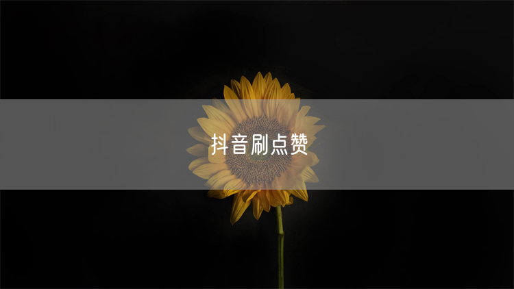抖音刷点赞