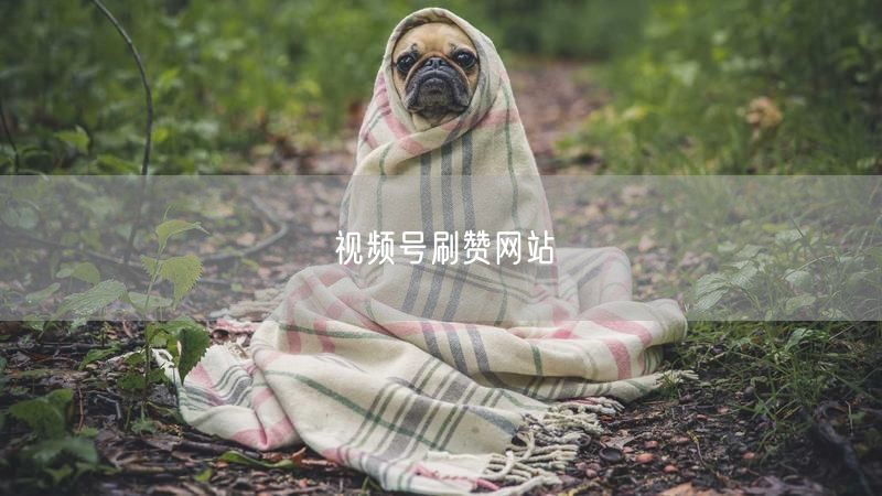 视频号刷赞网站