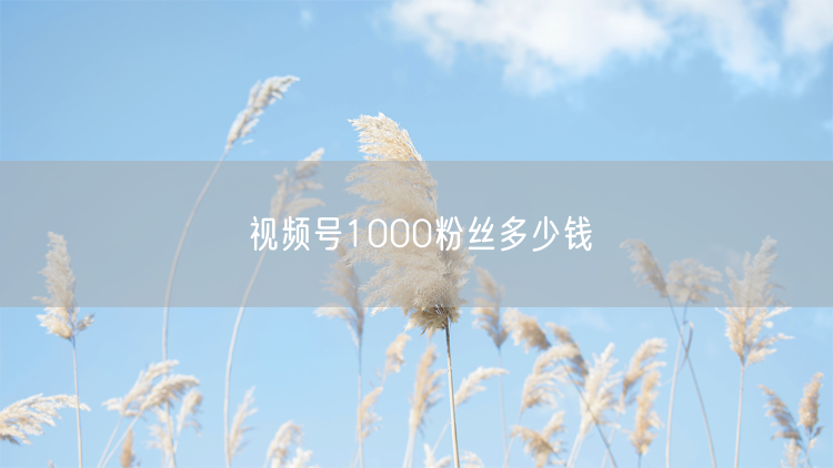 视频号1000粉丝多少钱