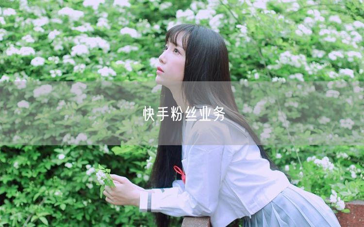 快手粉丝业务