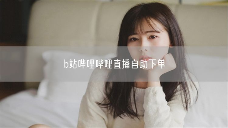 b站哔哩哔哩直播自助下单