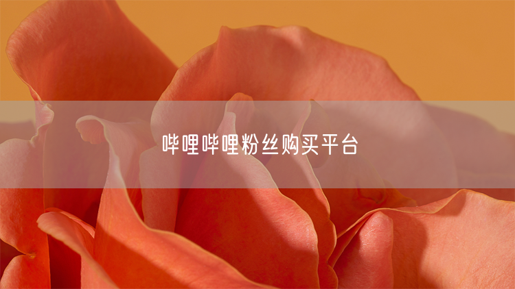 哔哩哔哩粉丝购买平台