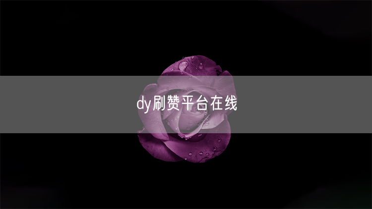 dy刷赞平台在线