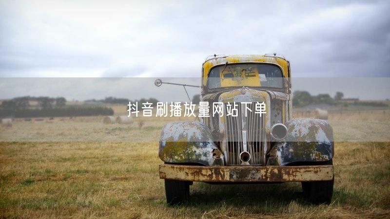 抖音刷播放量网站下单
