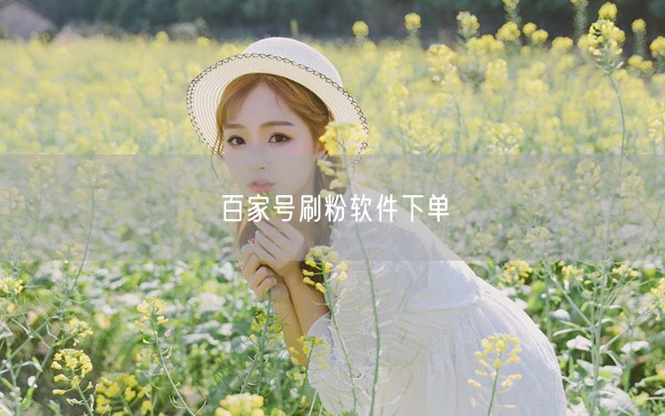 百家号刷粉软件下单