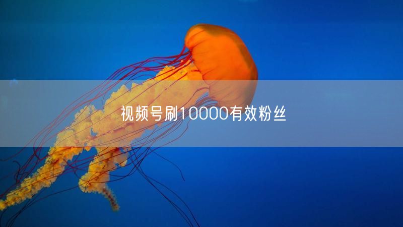 视频号刷10000有效粉丝