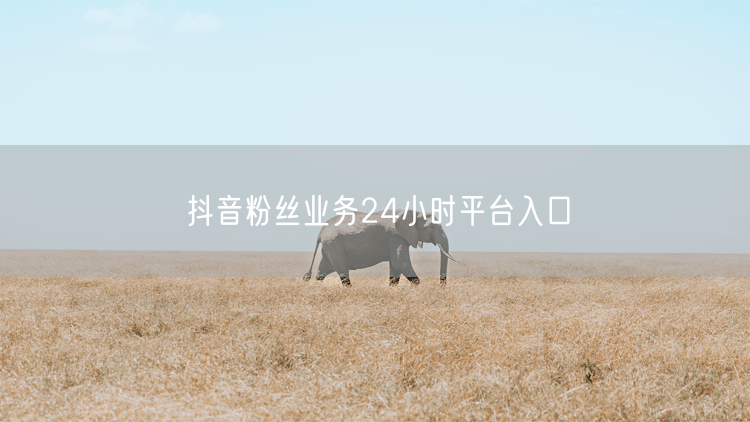 抖音粉丝业务24小时平台入口