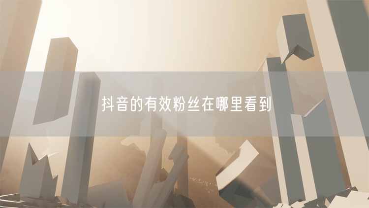 抖音的有效粉丝在哪里看到