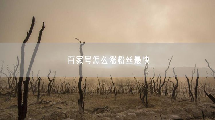 百家号怎么涨粉丝最快