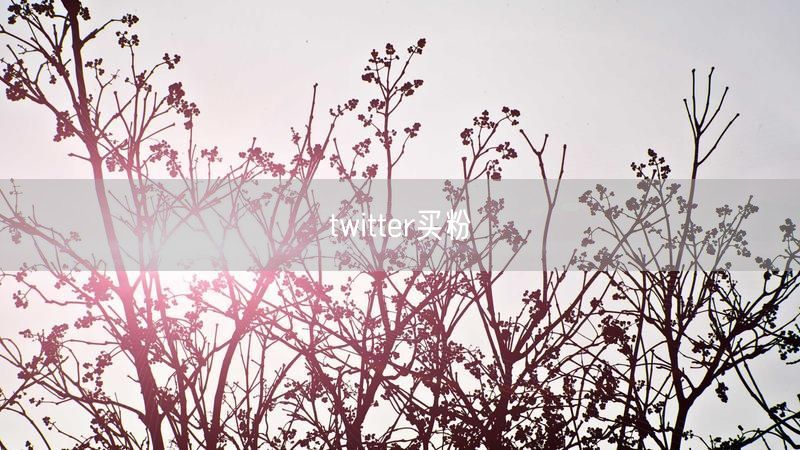 twitter买粉