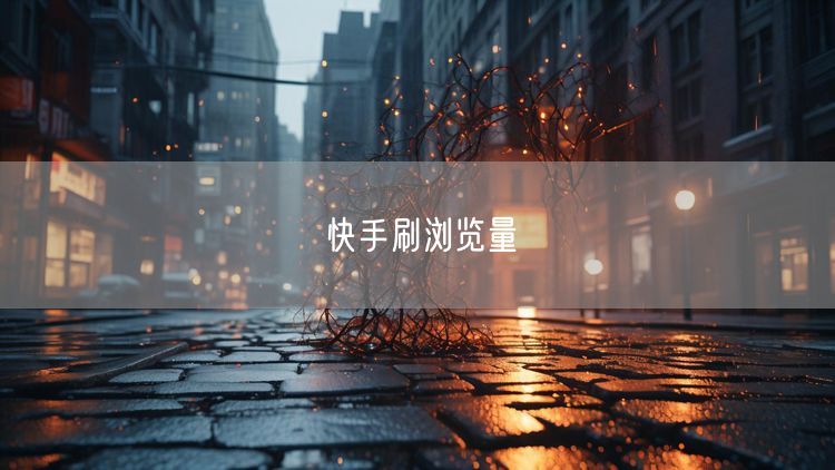 快手刷浏览量