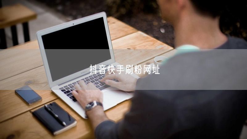 抖音快手刷粉网址