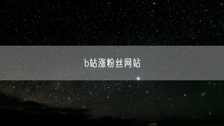 b站涨粉丝网站