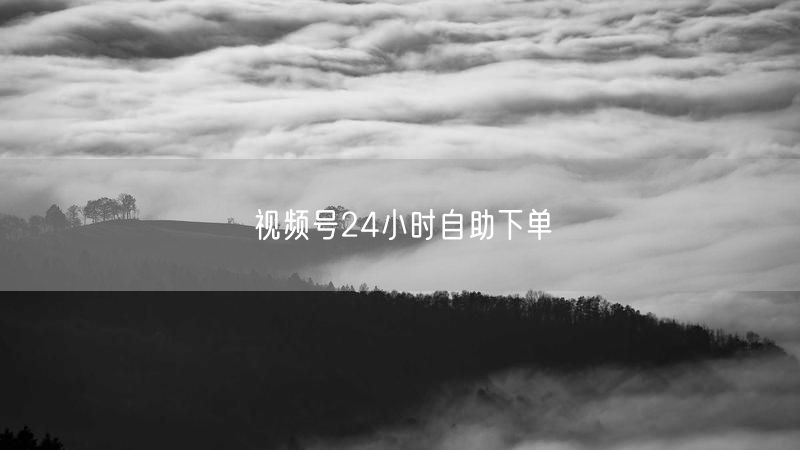 视频号24小时自助下单