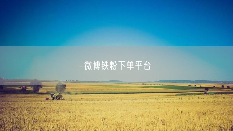 微博铁粉下单平台