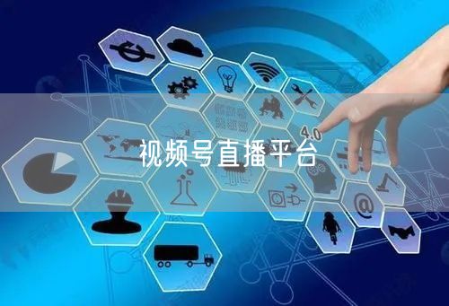 视频号直播平台