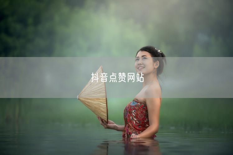 抖音点赞网站
