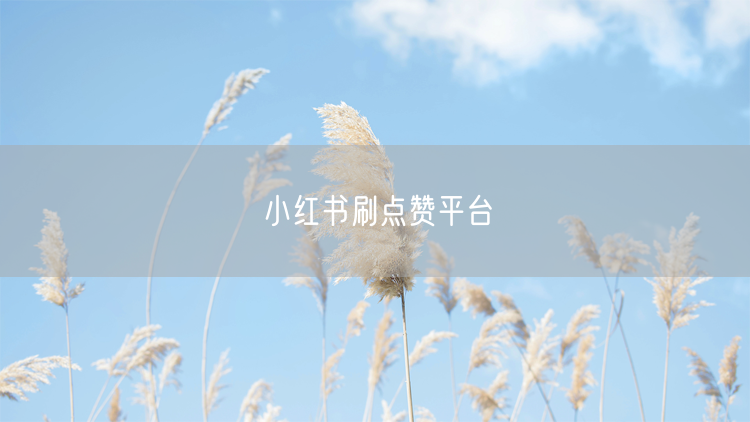 小红书刷点赞平台