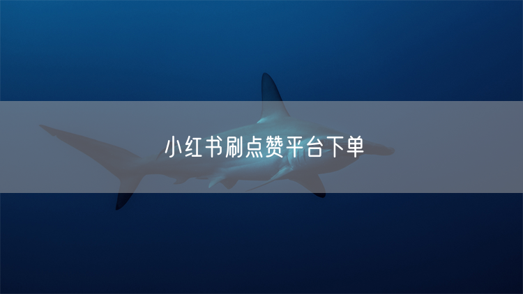 小红书刷点赞平台下单