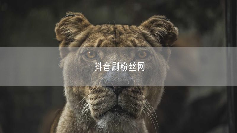 抖音刷粉丝网