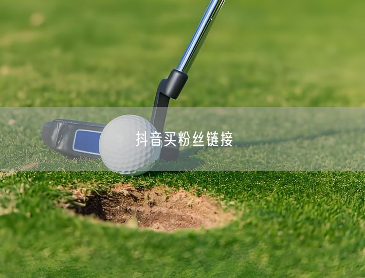 抖音买粉丝链接