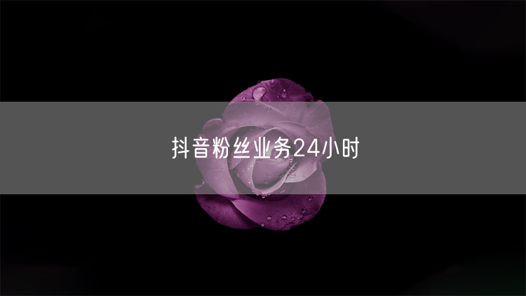抖音粉丝业务24小时