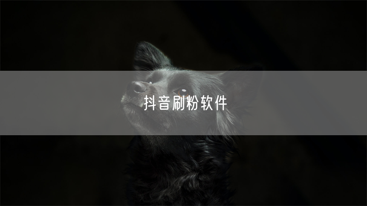 抖音刷粉软件